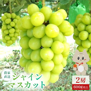yӂ邳Ɣ[Łzs2025N10{`11{oׁt {錧ېXY VC}XJbg@2[(1[ 600gȏ)|{錧 { ېX ېX VC}XJbg Ԃǂ uhE  600gȏ 2[ t