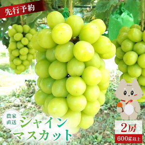 �y�ӂ邳�Ɣ[�Łz�y��s�\��z�s2026�N9�����{�`11�����{�o�ׁt �{�錧�ېX���Y �V���C���}�X�J�b�g�@2�[(1�[ 600g�ȏ�)|�{�錧 �{�� �ېX�� �ېX �V���C���}�X�J�b�g �Ԃǂ� �u�h�E ���� 600g��