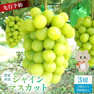 �y�ӂ邳�Ɣ[�Łz�y��s�\��z�s2026�N9�����{�`11�����{�o�ׁt �{�錧�ېX���Y �V���C���}�X�J�b�g�@3�[(1�[ 600g�ȏ�)|�{�錧 �{�� �ېX�� �ېX �V���C���}�X�J�b�g �Ԃǂ� �u�h�E ���� 600g��