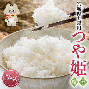 yӂ邳Ɣ[Łzߘa7NY {錧ېX P  5kg | ӂ邳Ɣ[ {錧 ېX ېX P   5kg { đ  uh   ٓ ɂ ނ 