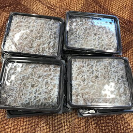 【ふるさと納税】釜揚げしらす（冷凍）80g×8パック＜あらはま海苔＞ 魚貝類