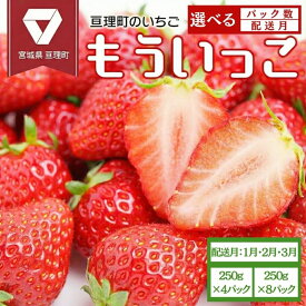 【ふるさと納税】【選べる配送月・パック数】いちご 亘理町のいちご もういっこ 250g オンライン決済限定 先行受付中！！ 苺 果物 フルーツ イチゴ セット　お届け：2026年1月8日頃から3月下旬頃まで