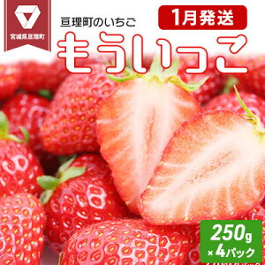 yӂ邳Ɣ[Łz ĵ  250g × 4pbN ICό stII  ʕ t[c C`S Zbg @͂F2026N1{1{܂