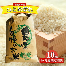 【ふるさと納税】【6ヶ月連続定期便】農家直送！新米 令和5年度産 宮城県亘理町産 ひとめぼれ 10kg　【定期便・ お米 ライス 白米 精米 ブランド米 ご飯 炭水化物 食卓 主食 おにぎり 冷めても おいしい 】　お届け：2023年10月中旬から順次発送