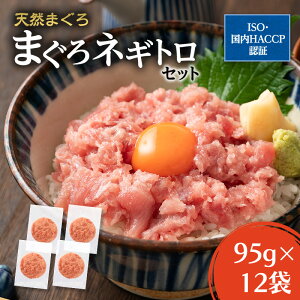 yӂ邳Ɣ[Łz}nj`@܂lMgZbgi95gx3jx4܁@v1.14kg L  HHi  @͂F2024N41ȍ~o