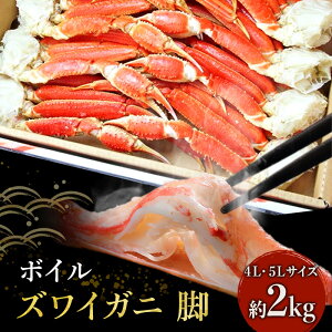 yӂ邳Ɣ[ŁzI {C YCKj r 4L 5L 2kg }Y  Jj 킢 킢I {C킢 {C킢 {CI {CKj Jj I Ⓚ Ⓚ CN  