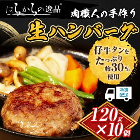 【ふるさと納税】肉職人の手作り生ハンバーグ 10個セット はらからの逸品 1個づつの個食パックで無駄なく利用できます　【 ハンバーグ 120g 10個 セット 手作り 惣菜 牛肉 豚肉 合い挽き お肉 肉 牛タン タン 個食 パック 冷凍 】