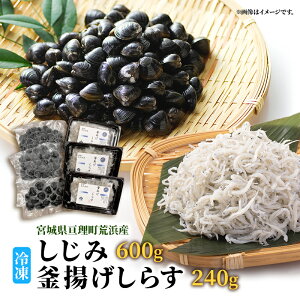 yӂ邳Ɣ[Łz {錧rlY Ⓚ 600g ρEⓀg炷 240g Zbg  炷 ͂܊C