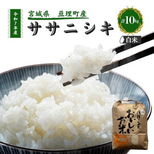 yӂ邳Ɣ[Łzߘa7NYV TTjVL 10kg  jY    uh Pꌴ 5L  R   CX k {錧Y {錧YЂƂ߂ڂ { { {