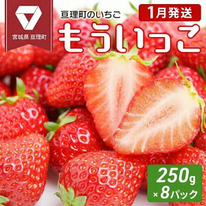 �y�ӂ邳�Ɣ[�Łz�y1���z���z������ �j�����̂����� ���������� 250g × 8�p�b�N �I�����C�����ό��� ��s��t���I�I � �ʕ� �t���[�c �C�`�S �Z�b�g�@���͂��F2026�N1����{������1�����{��