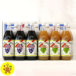 yӂ邳Ɣ[Łz}^̂ԂǂԂǂ1000ml×12{lyzsnFzy1273540z