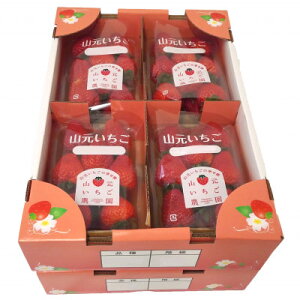 yӂ邳Ɣ[ŁzR_ 4iHה׃Zbg 8pbNyzsnFEkCEꌧEMzAkEߋEEElEBzy1693723z