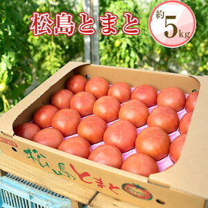 yӂ邳Ɣ[ŁzNo.003 Ƃ܂ ^ g}g  ͔|   {錧