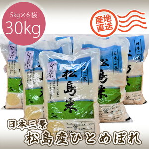 yӂ邳Ɣ[ŁzNo.086 yߘa7NxYzYЂƂ߂ڂ5kg×6 ^ V    30kg  {錧