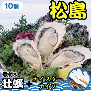 �y�ӂ邳�Ɣ[�Łz �k�t�����y10�{�I�C�X�^�[�i�C�t �^ �J�L �L �k�t�� �����p �C�Y�� ���y�Z�b�g �I�C�X�^�[�i�C�t �V�N �������� �{�錧 No.175