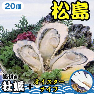 �y�ӂ邳�Ɣ[�Łz �k�t�����y20�{�I�C�X�^�[�i�C�t �^ �J�L �L �k�t�� �����p �C�Y�� ���y�Z�b�g �I�C�X�^�[�i�C�t �V�N �������� �{�錧 No.181