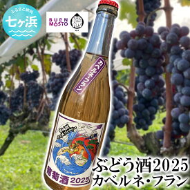 【ふるさと納税】葡萄酒2025　ロゼ　カベルネ・フラン| ぶどう ワイン wine-syal-2025