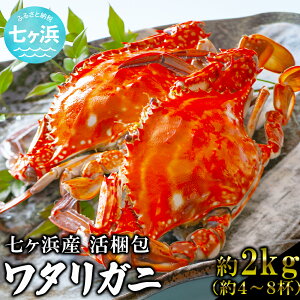 �y�ӂ邳�Ɣ[�Łz ��s�\�� (2026�N10���`����) �� ���� ���^���K�j 2kg (��5�`8�t) �����l�Y ���� �J�j �I �n��I �K�U�~ �{ �V�N �p�X�^ �{�C�� �C�N �P�W���� ���X �I�� �� ���܂� ���{�� �O��