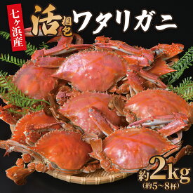 【ふるさと納税】 先行予約 (6月～7月分発送受付) 活 梱包 ワタリガニ 2kg (約5〜8杯) 七ヶ浜産 かに カニ 蟹 渡り蟹 ガザミ 旬 新鮮 パスタ ボイル 海鮮 ケジャン 味噌 蟹肉 鍋 おつまみ 日本酒 グルメ 高級 国産 ごはん 宮城県 七ヶ浜町 ｜jf-wg02-R7