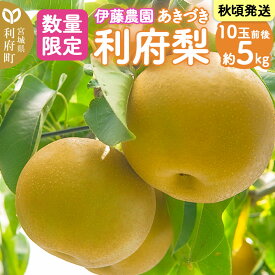 【ふるさと納税】数量限定 利府梨（あきづき）5kg（10玉前後）先行受付 [先行予約 今が旬 甘い ブランド 梨 果物 フルーツ 美味 おいしい 宮城県 利府町 伊藤農園]