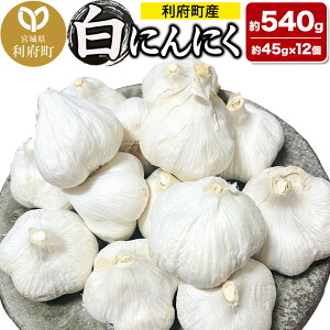 yӂ邳Ɣ[Łz{錧{Y ɂɂi45g×12 540gj Y VN