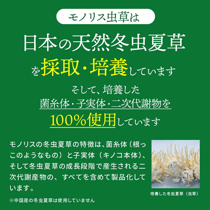 楽天市場】【ふるさと納税】日本産冬虫夏草 モノリス虫草カプセル 120 