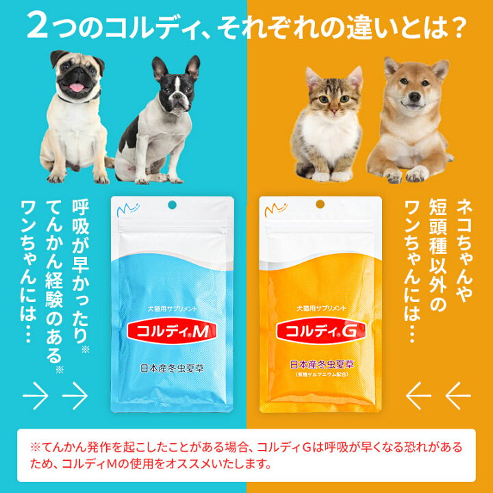 楽天市場】【ふるさと納税】犬 猫 ウサギ いつものエサにプラス 