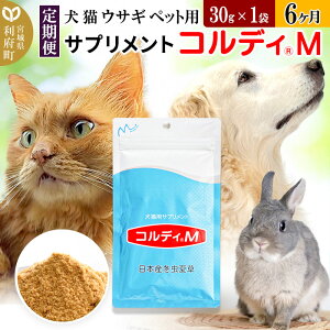 yӂ邳Ɣ[Łzs6t L ETM ybgpTvg(RfBM) 30g×1 6 6 6J 6P