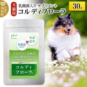 yӂ邳Ɣ[ŁzRfBt[30g