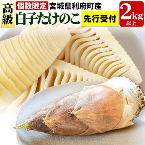 yӂ邳Ɣ[Łzyst 2026N4ȍ~z{錧{Y ̂ꂽ q̂ t2kgȏi2`6{j ^PmR  Y VN {