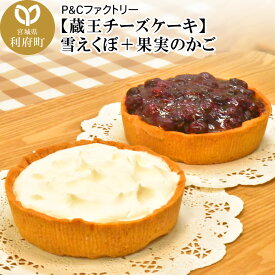 【ふるさと納税】【蔵王チーズケーキ】雪えくぼ＋果実のかご