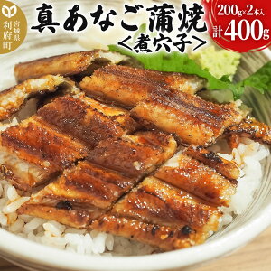 yӂ邳Ɣ[Łz^Ȃāόq 400g ؍Y {錧 {