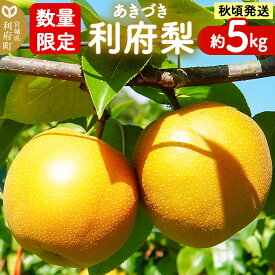 【ふるさと納税】梨 数量限定 利府梨（あきづき）約5kg（10玉前後）先行受付 [先行予約 ブランド フルーツ 人気 有機肥料のみ 果物 美味 おいしい 宮城県 利府町 高橋梨園]