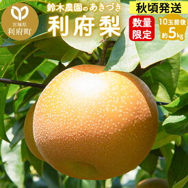 【ふるさと納税】数量限定 利府梨（あきづき）5kg（10玉前後） 先行受付 [先行予約 今が旬 甘い ブランド 梨 果物 フルーツ 美味 おいしい 宮城県 利府町 鈴木農園]