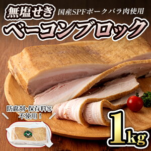 yӂ邳Ɣ[ŁzIY؃õx[RubN(1/1kg)@؃o x[R ubN   ؓ Y SPF|[N ① ܂ BBQ o[xL[yLЃRuczta293