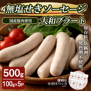 yӂ邳Ɣ[ŁzYؓgpI\[Z[W au[g 500g i100g×5pbNj \[Z[W  т e҂ ה҂  Hi  Hה ① ܂ BBQ o[xL