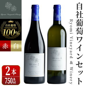 yӂ邳Ɣ[ŁzЕgpCZbg 750ml×2{ smm[ \[Bju ԃC C ~fBA{fB h Ԃǂ uhE AR[ Mtg {錧Y ݂