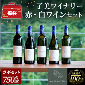 �y�ӂ邳�Ɣ[�Łz�჏�C�����܁⎩�Е������g�p�������C���Z�b�g 750ml×5�{ �ԃ��C�� �����C�� �������[ �s�m�m���[�� �V�����h�l �\�[���B�j�����u���� �����h�u���G �~�f�B�A���{�f�B �h