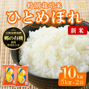yӂ邳Ɣ[Łzs\I2025N11珇\聄yߘa7NY Vāz{錧Y ̗L@ ЂƂ߂ڂ v10kg (5kg×2)    R   ͂ ɂ ٓ L@