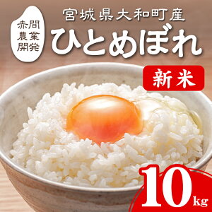 yӂ邳Ɣ[Łzߘa7NY V s\I2025N10珇\聄 ЂƂ߂ڂ 10kg    R   ͂ ɂ ٓyԊԔ_ƊJЁzta461