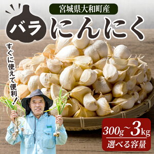 yӂ邳Ɣ[ŁzIoɂɂ 300g`3kg Iׂe ɂɂ jjN K[bN ZЎ ΂ zCg ܂ N Hi  Yn {錧 ayЃt@[nzta500