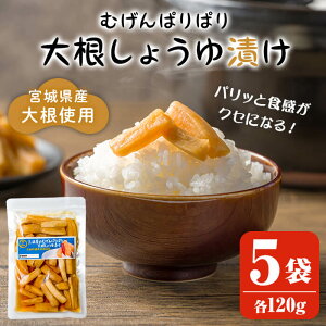 yӂ邳Ɣ[Łzނςς卪傤Ђ 120g×5 卪Ђ Ђ Е Ђ  ܂  ٓ т̂yOYzta524