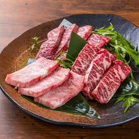 【ふるさと納税】仙台牛 焼肉 食べ比べ 3種 ザブトン トモサンカク マルシン 選べる内容量 300g・600g 食べ比べ 国産牛 牛肉 和牛 セット 冷凍 【有限会社佐藤精肉店】ta653・ta654
