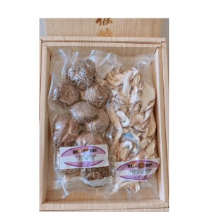 yӂ邳Ɣ[ŁztY@؊(50g×2pbN)1y1249259z