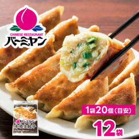 【ふるさと納税】すかいらーく バーミヤン 冷凍生餃子 12袋(目安240個)【配送不可地域：離島】【1511283】