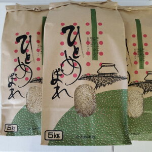 �y�ӂ邳�Ɣ[�Łz�y�ߘa7�N�Y�z��t���Y�ЂƂ߂ڂ�5kg×3��(����)�y1686444�z