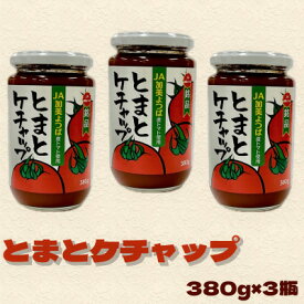 【ふるさと納税】とまとケチャップ 380g×3個【配送不可地域：離島・沖縄県】【1307531】
