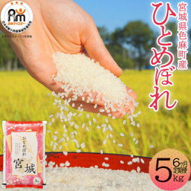 【ふるさと納税】【毎月定期便】宮城県産 ひとめぼれ 精米 5kg全6回【配送不可地域：離島・沖縄県】【4078120】