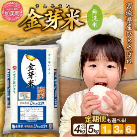 【ふるさと納税】 金芽米 定期便 も選べる！ 3ヶ月 / 6ヶ月 内容量が選べる 4kg(2kg×2)/ 5kg 無洗米 ひとめぼれ 令和7年産 米 [ 宮城県 加美町 km-my-knm-r7 ] お米 小分け こめ コメ 精米 白米 玄米 きんめまい おすすめ 妊婦 カロリーオフ 時短 便利 糖質オフ