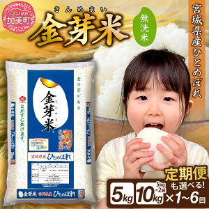 yӂ邳Ɣ[Łz  5kg / 10kg  sIׂz 1`6t {錧Y ЂƂ߂ڂ  ߘa7NY V [{錧  ] ߂܂ 3 6   R    N